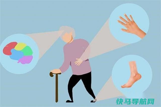 人有四种“衰老模式” 看看你是哪一种 针对衰老模式 各个击破 第2张